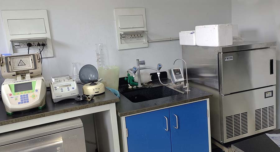 雪花制冰機(jī).jpg 雪花制冰機(jī).jpg